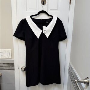French Connection Black Dress with White Peter Pan Collar - Size 12. NWT.
